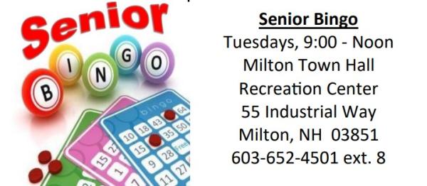 Senior Bingo